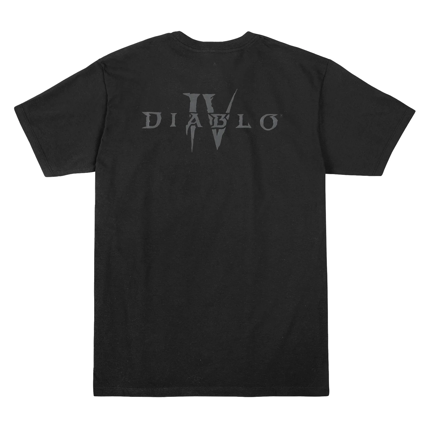 Diablo IV Tree of Whispers Bounty - Image 10